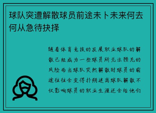 球队突遭解散球员前途未卜未来何去何从急待抉择