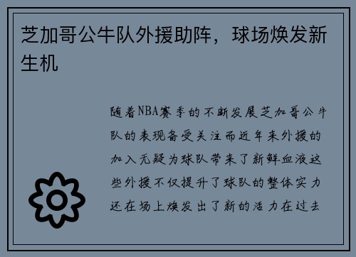 芝加哥公牛队外援助阵，球场焕发新生机